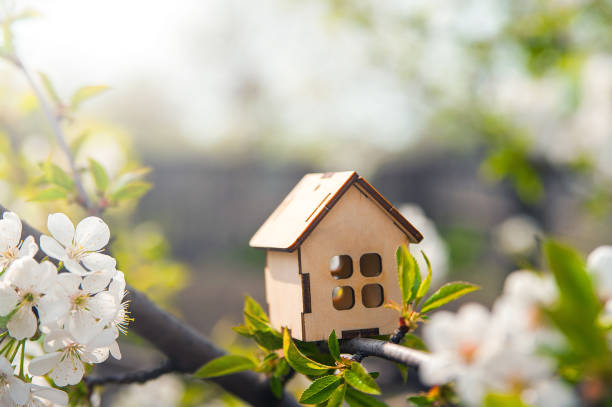 Update Your Home for Springtime with These Tips
