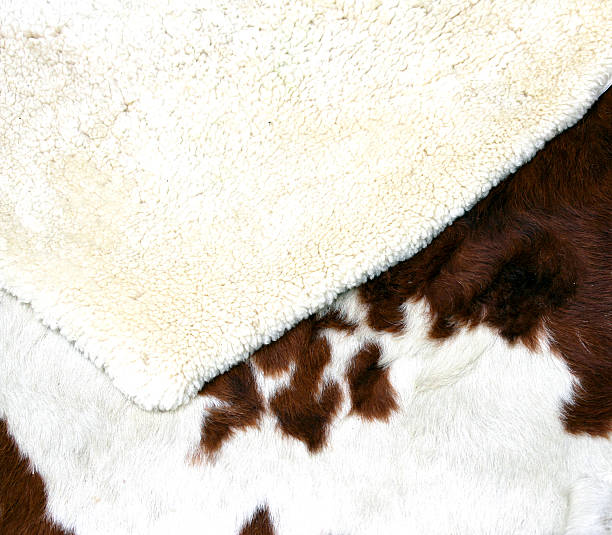 Cowhide Rugs that will make your home beautiful